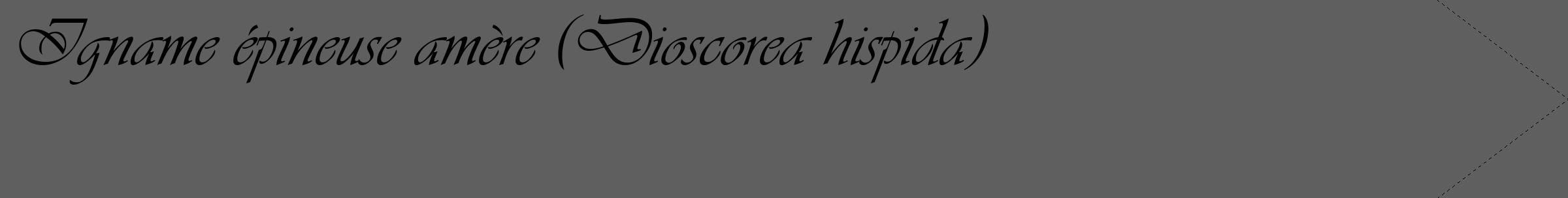 Étiquette de : Dioscorea hispida - format c - style noire10_simple_simpleviv avec comestibilité