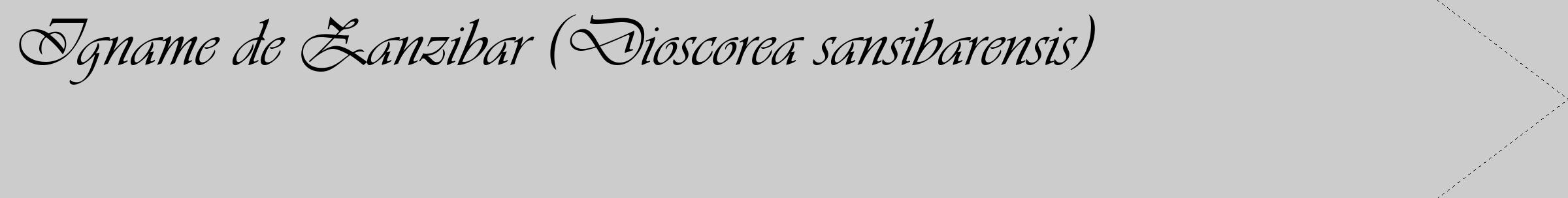 Étiquette de : Dioscorea sansibarensis - format c - style noire0_simple_simpleviv avec comestibilité