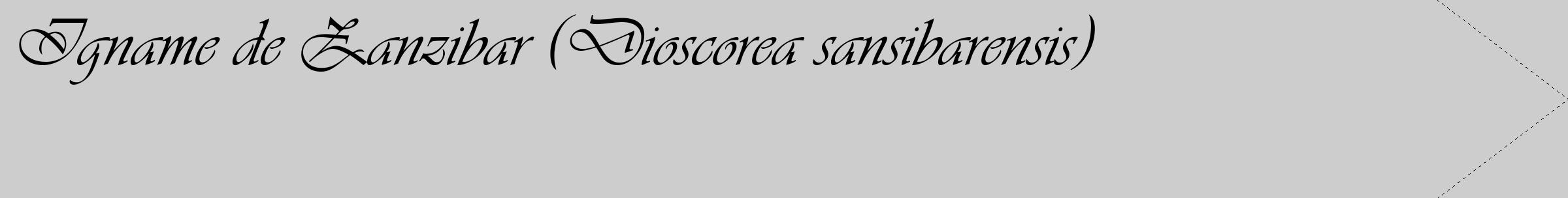 Étiquette de : Dioscorea sansibarensis - format c - style noire41_simple_simpleviv avec comestibilité