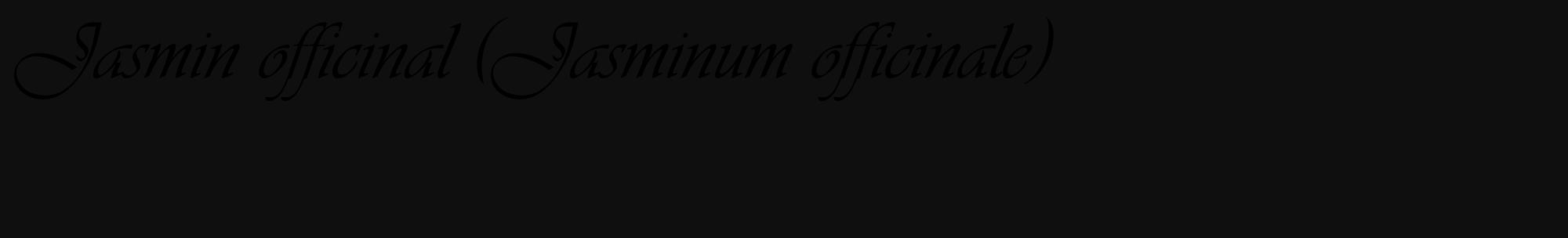 Étiquette de : Jasminum officinale - format c - style noire7_basique_basiqueviv avec comestibilité