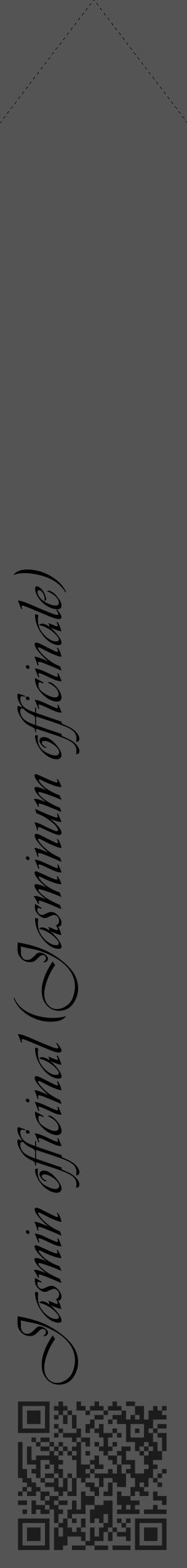 Étiquette de : Jasminum officinale - format c - style noire30_simple_simpleviv avec qrcode et comestibilité - position verticale