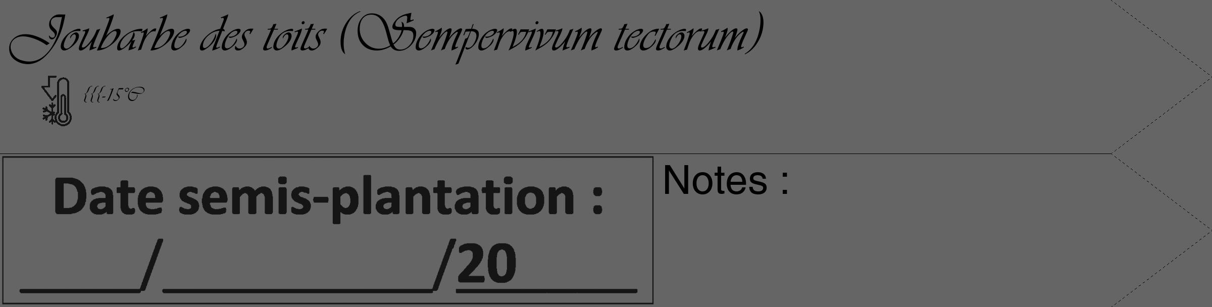 Étiquette de : Sempervivum tectorum - format c - style noire32_simple_simpleviv avec comestibilité