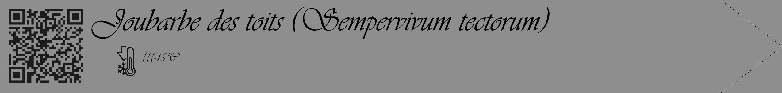 Étiquette de : Sempervivum tectorum - format c - style noire25_simple_simpleviv avec qrcode et comestibilité