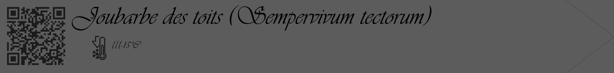 Étiquette de : Sempervivum tectorum - format c - style noire49_simple_simpleviv avec qrcode et comestibilité