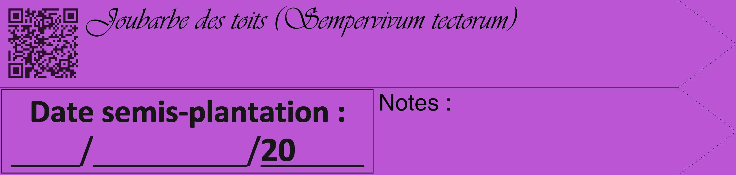 Étiquette de : Sempervivum tectorum - format c - style noire50_simple_simpleviv avec qrcode et comestibilité