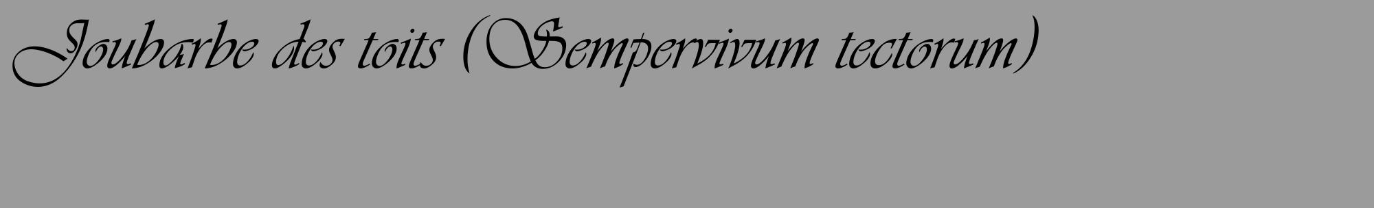 Étiquette de : Sempervivum tectorum - format c - style noire52_basique_basiqueviv avec comestibilité