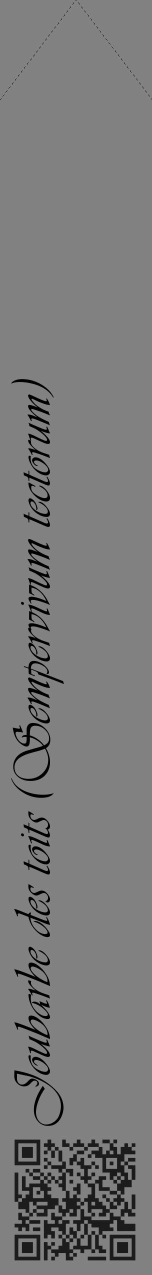 Étiquette de : Sempervivum tectorum - format c - style noire50_simple_simpleviv avec qrcode et comestibilité - position verticale