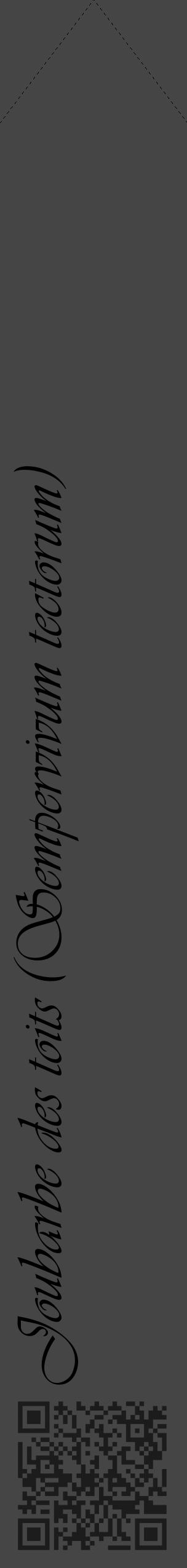Étiquette de : Sempervivum tectorum - format c - style noire58_simple_simpleviv avec qrcode et comestibilité - position verticale