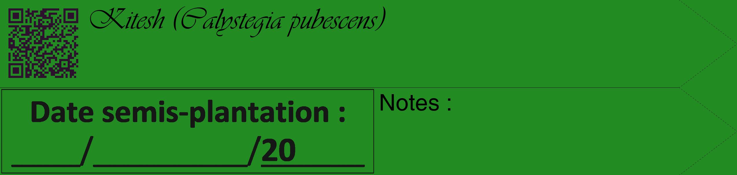 Étiquette de : Calystegia pubescens - format c - style noire10_simple_simpleviv avec qrcode et comestibilité
