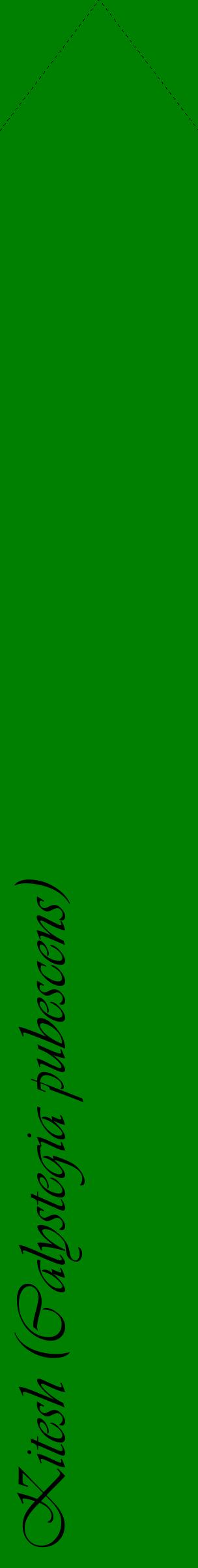 Étiquette de : Calystegia pubescens - format c - style noire9_simpleviv avec comestibilité