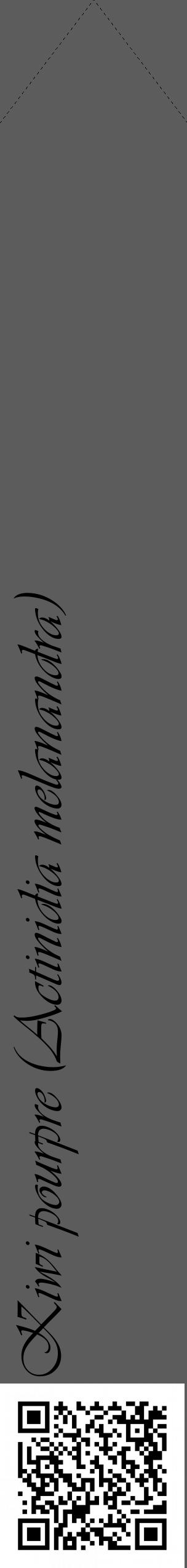 Étiquette de : Actinidia melanandra - format c - style noire49_simple_simpleviv avec qrcode et comestibilité - position verticale