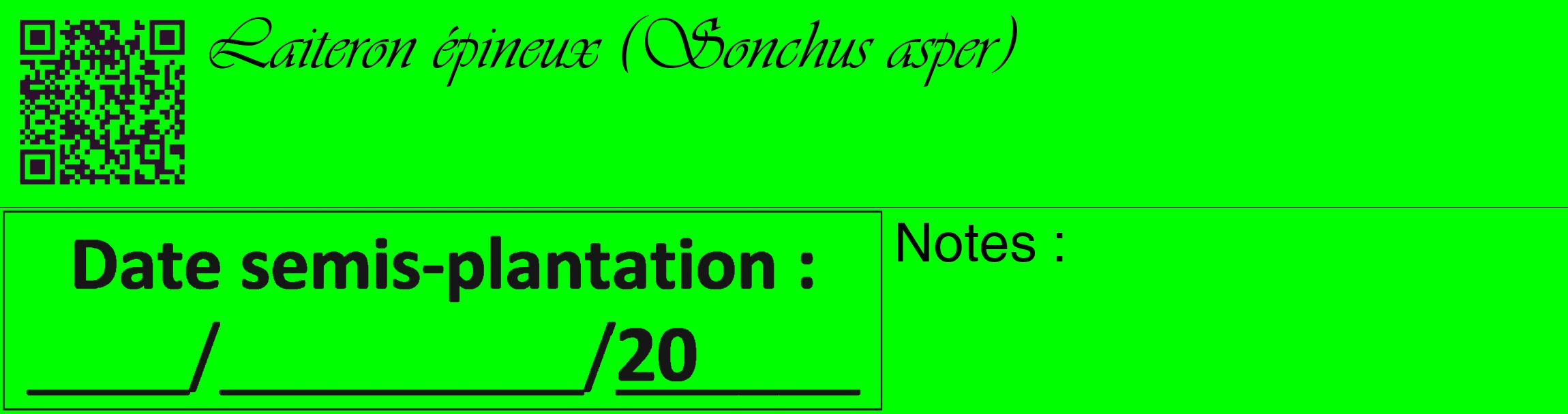 Étiquette de : Sonchus asper - format c - style noire16_basique_basiqueviv avec qrcode et comestibilité