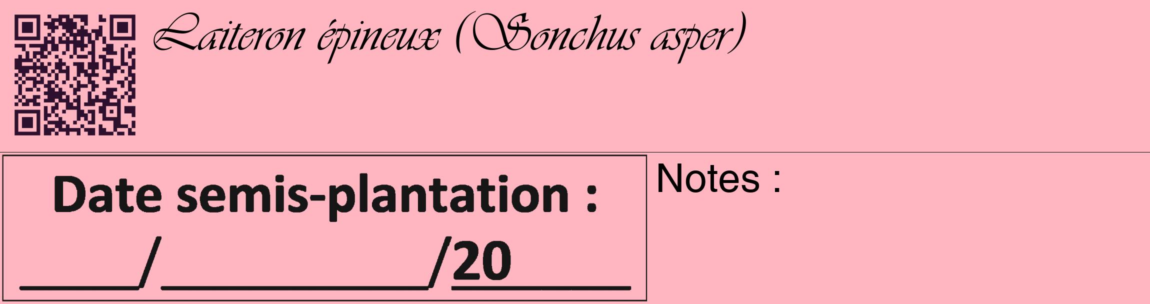 Étiquette de : Sonchus asper - format c - style noire41_basique_basiqueviv avec qrcode et comestibilité