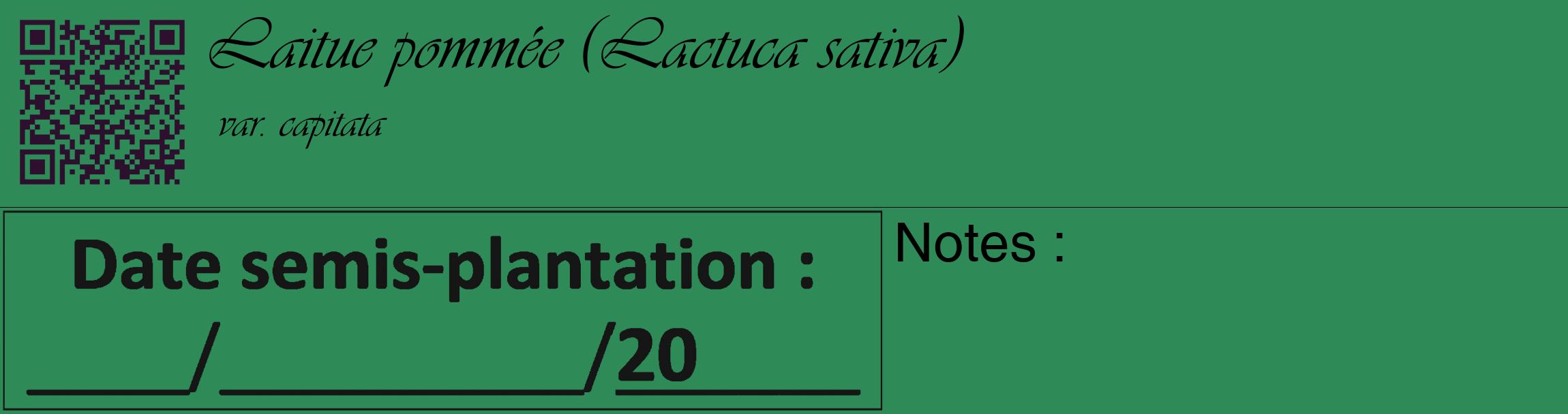 Étiquette de : Lactuca sativa var. capitata - format c - style noire11_basique_basiqueviv avec qrcode et comestibilité