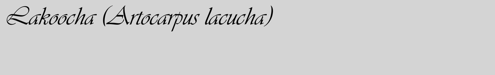 Étiquette de : Artocarpus lacucha - format c - style noire40_basique_basiqueviv avec comestibilité