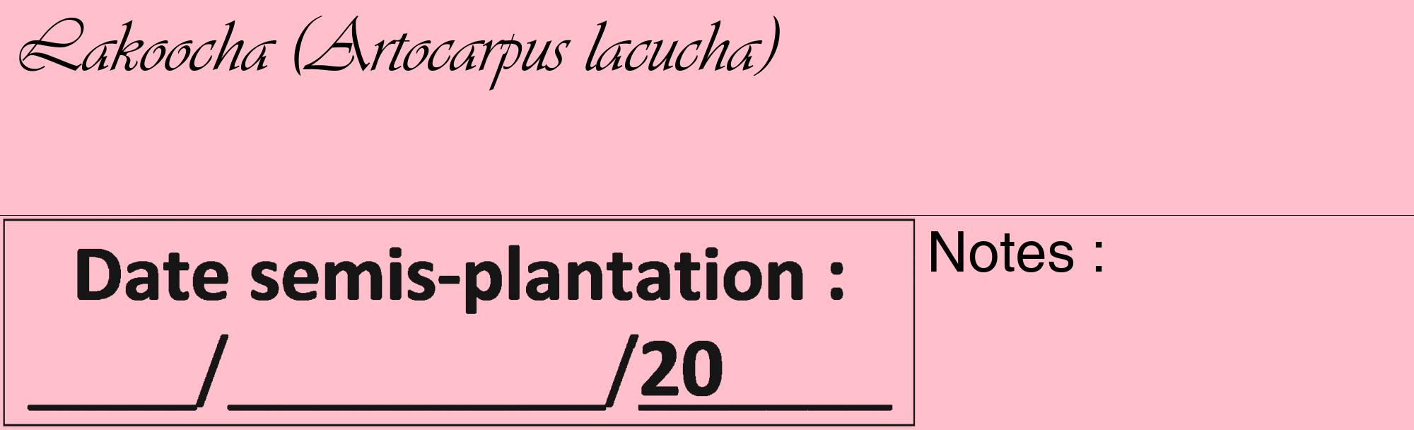 Étiquette de : Artocarpus lacucha - format c - style noire40_basique_basiqueviv avec comestibilité