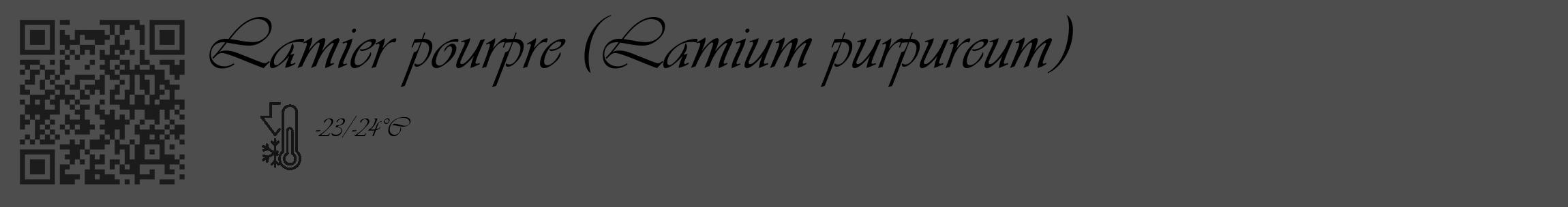 Étiquette de : Lamium purpureum - format c - style noire28_basique_basiqueviv avec qrcode et comestibilité