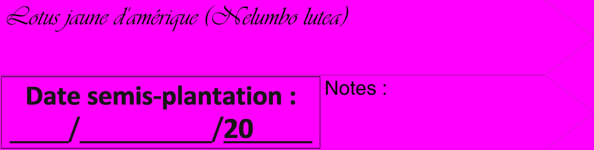 Étiquette de : Nelumbo lutea - format c - style noire51_simple_simpleviv avec comestibilité