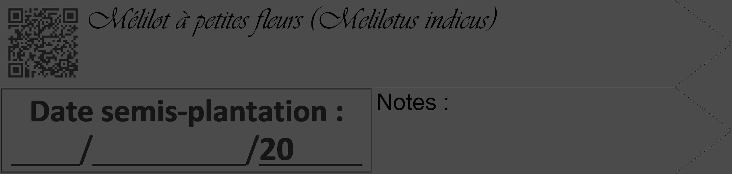Étiquette de : Melilotus indicus - format c - style noire9_simple_simpleviv avec qrcode et comestibilité