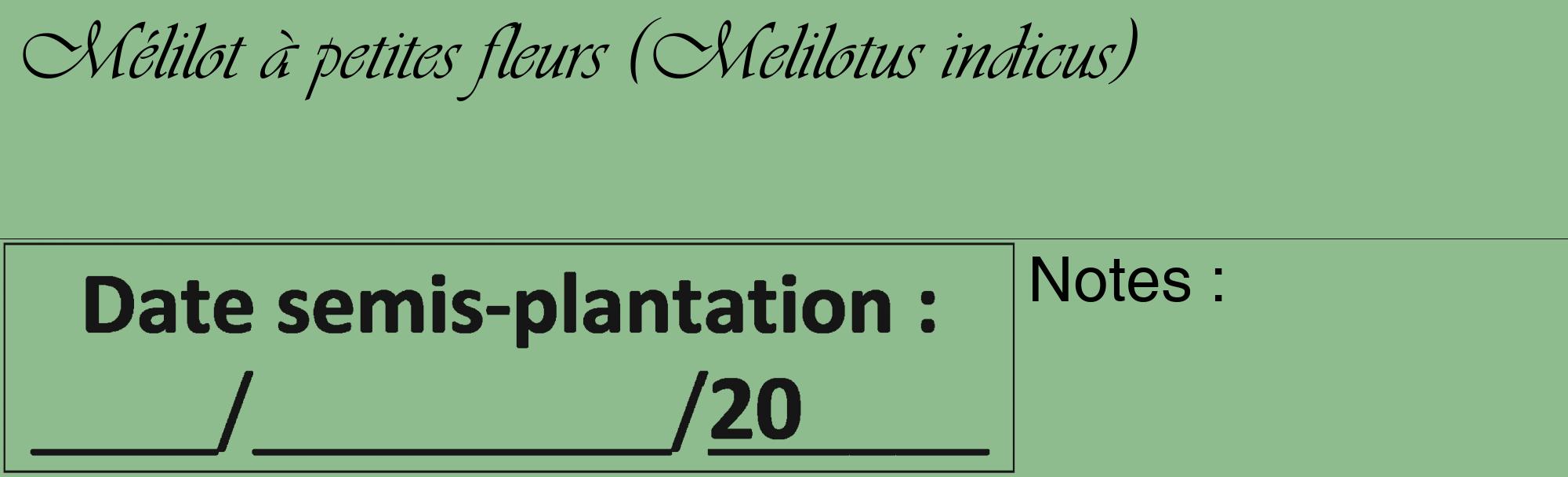 Étiquette de : Melilotus indicus - format c - style noire13_basique_basiqueviv avec comestibilité