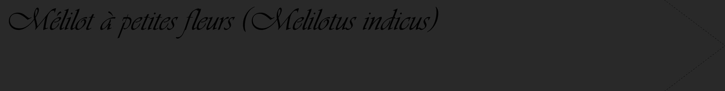Étiquette de : Melilotus indicus - format c - style noire34_simple_simpleviv avec comestibilité
