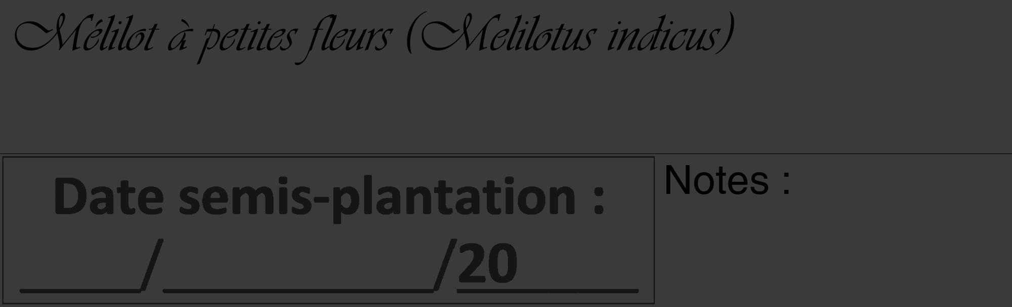 Étiquette de : Melilotus indicus - format c - style noire8_basique_basiqueviv avec comestibilité