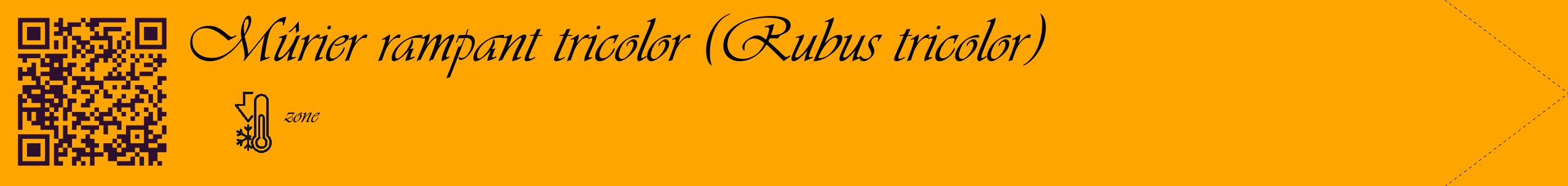 Étiquette de : Rubus tricolor - format c - style noire22_simple_simpleviv avec qrcode et comestibilité
