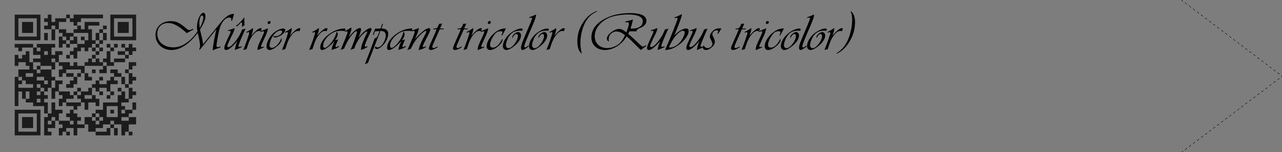 Étiquette de : Rubus tricolor - format c - style noire35_simple_simpleviv avec qrcode et comestibilité