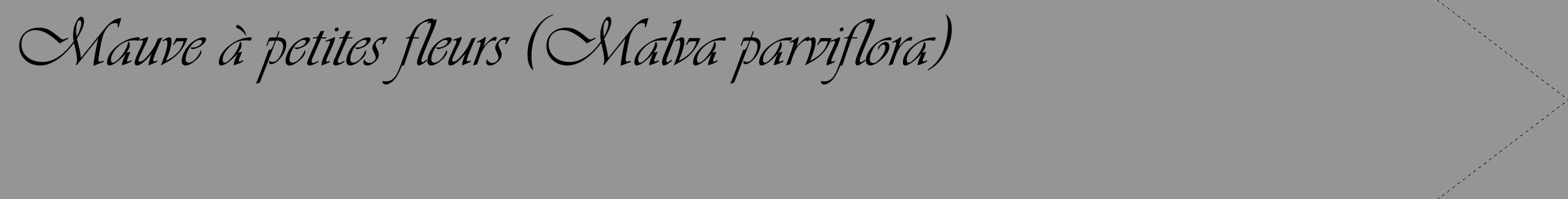 Étiquette de : Malva parviflora - format c - style noire16_simple_simpleviv avec comestibilité