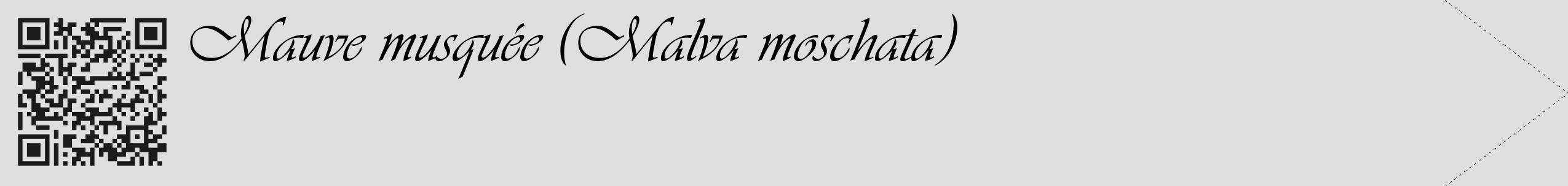 Étiquette de : Malva moschata - format c - style noire20_simple_simpleviv avec qrcode et comestibilité