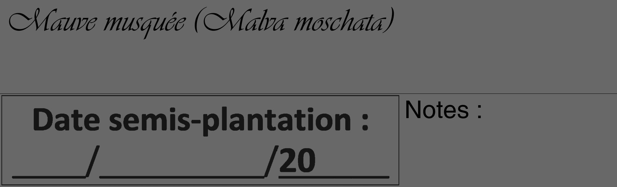 Étiquette de : Malva moschata - format c - style noire6_basique_basiqueviv avec comestibilité