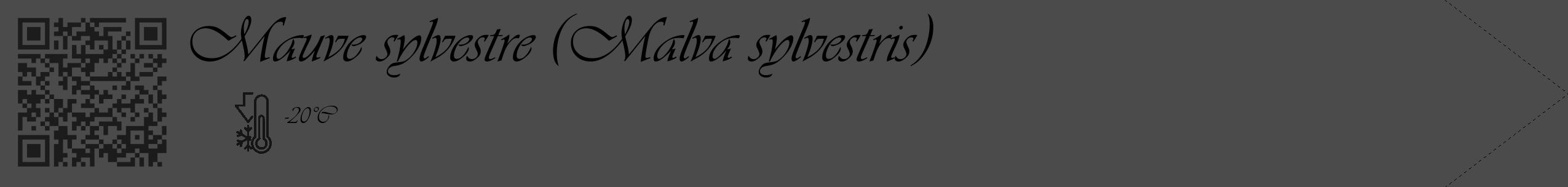 Étiquette de : Malva sylvestris - format c - style noire9_simple_simpleviv avec qrcode et comestibilité