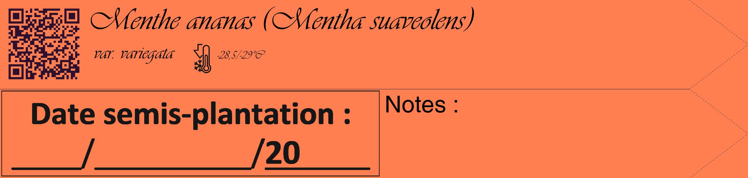 Étiquette de : Mentha suaveolens var. variegata - format c - style noire24_simple_simpleviv avec qrcode et comestibilité