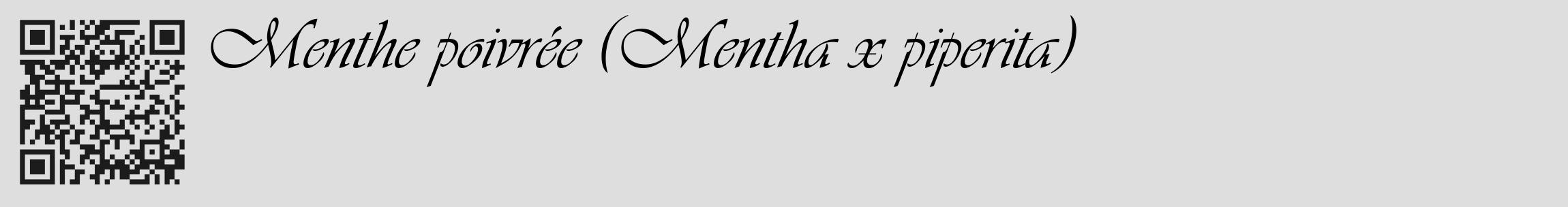 Étiquette de : Mentha x piperita - format c - style noire20_basique_basiqueviv avec qrcode et comestibilité