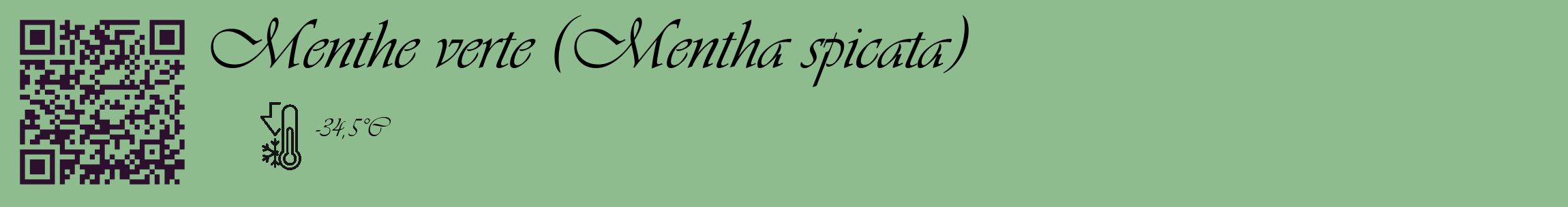 Étiquette de : Mentha spicata - format c - style noire13_basique_basiqueviv avec qrcode et comestibilité