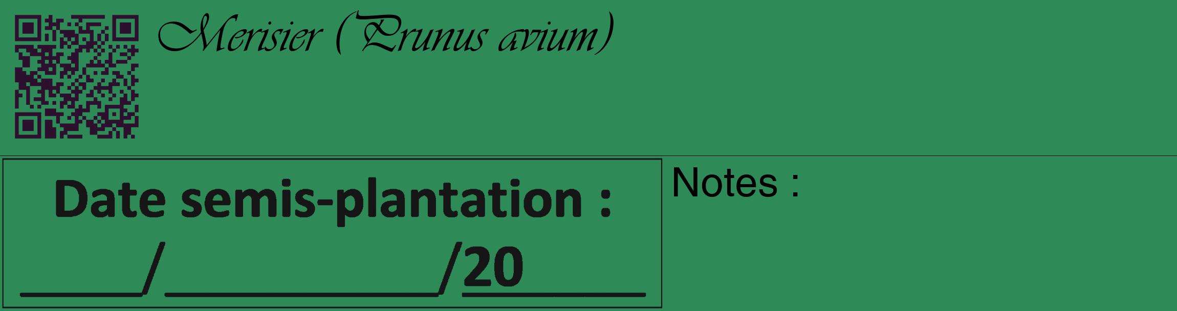 Étiquette de : Prunus avium - format c - style noire11_basique_basiqueviv avec qrcode et comestibilité