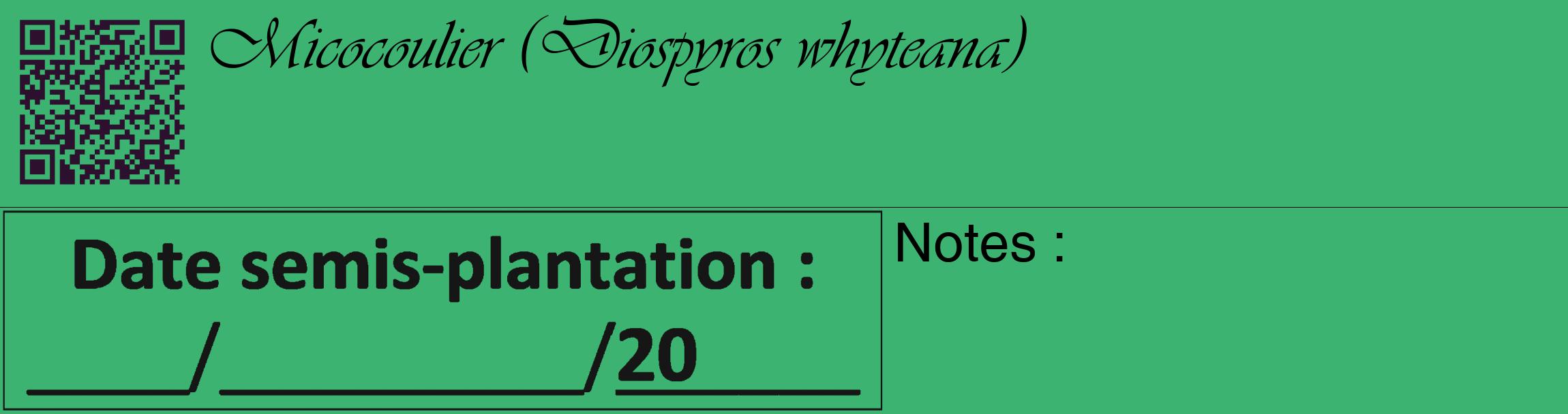 Étiquette de : Diospyros whyteana - format c - style noire12_basique_basiqueviv avec qrcode et comestibilité