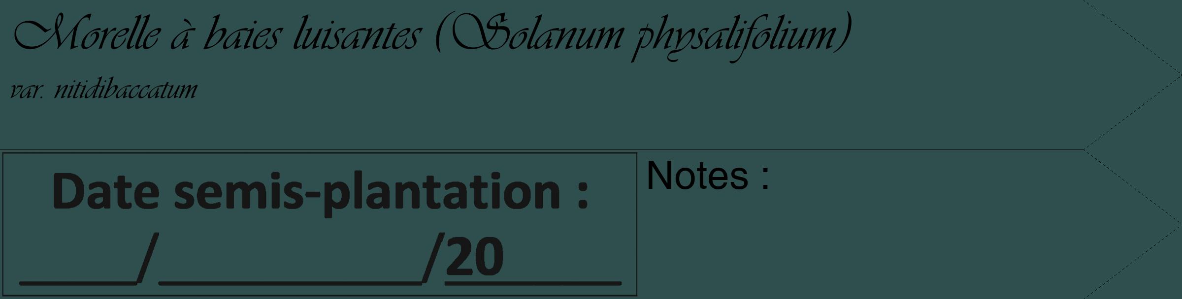 Étiquette de : Solanum physalifolium var. nitidibaccatum - format c - style noire58_simple_simpleviv avec comestibilité