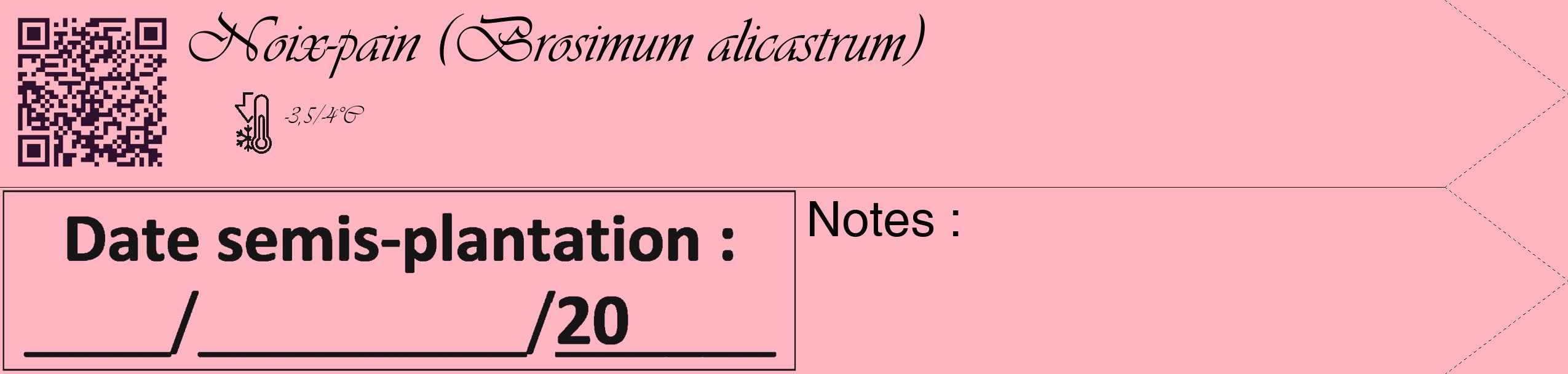 Étiquette de : Brosimum alicastrum - format c - style noire41_simple_simpleviv avec qrcode et comestibilité