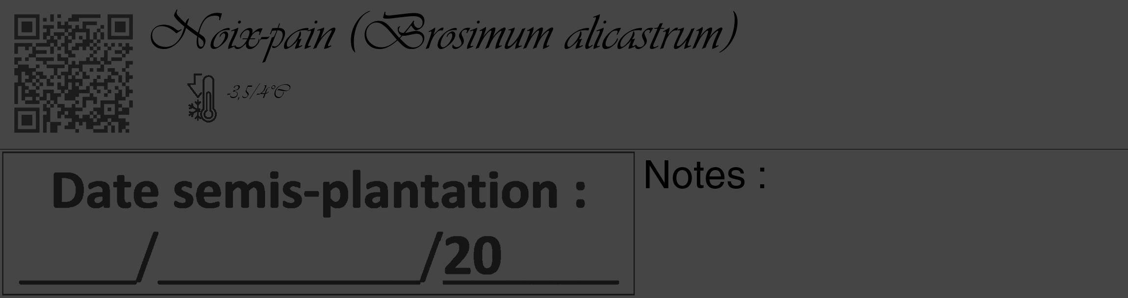 Étiquette de : Brosimum alicastrum - format c - style noire58_basique_basiqueviv avec qrcode et comestibilité