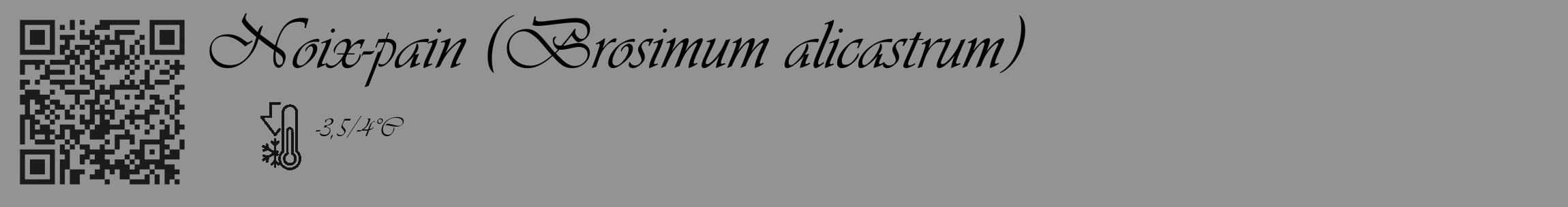 Étiquette de : Brosimum alicastrum - format c - style noire44_basique_basiqueviv avec qrcode et comestibilité
