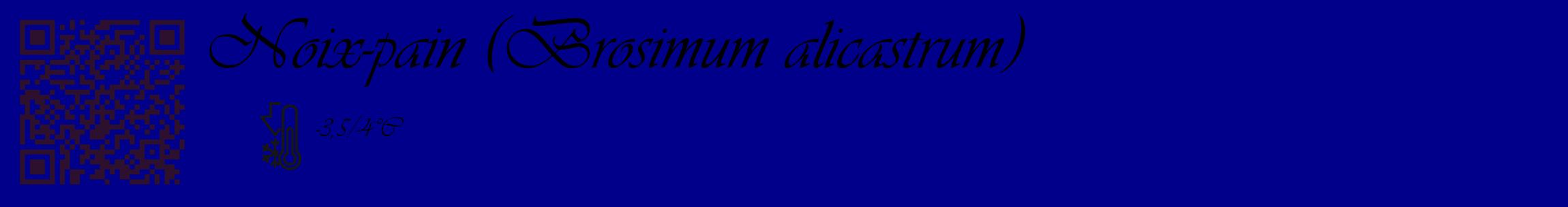 Étiquette de : Brosimum alicastrum - format c - style noire7_basique_basiqueviv avec qrcode et comestibilité