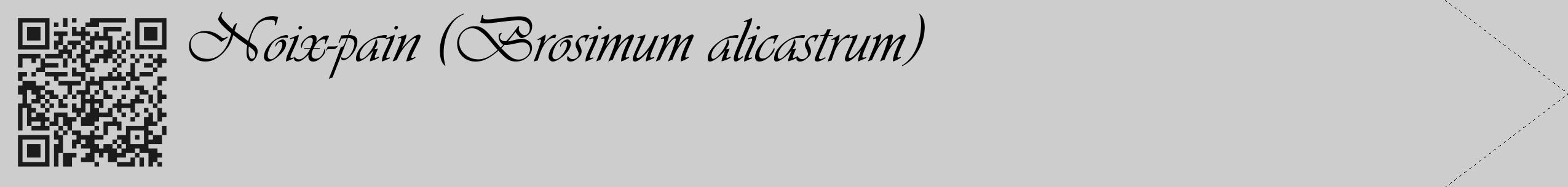 Étiquette de : Brosimum alicastrum - format c - style noire41_simple_simpleviv avec qrcode et comestibilité