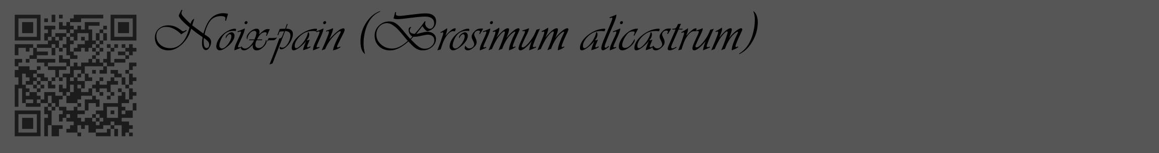 Étiquette de : Brosimum alicastrum - format c - style noire45_basique_basiqueviv avec qrcode et comestibilité