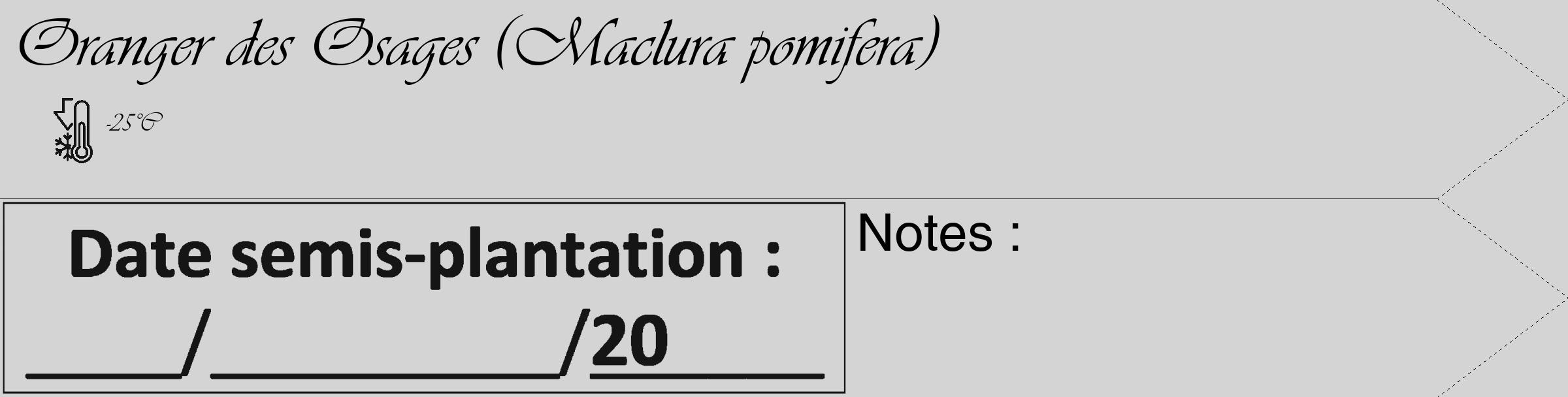 Étiquette de : Maclura pomifera - format c - style noire40_simple_simpleviv avec comestibilité