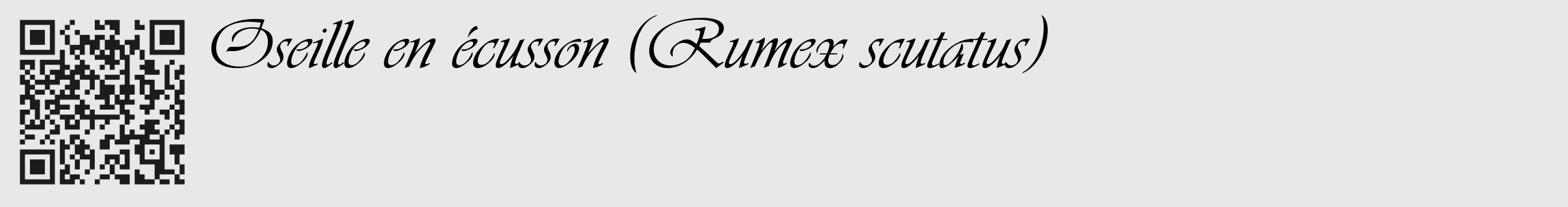 Étiquette de : Rumex scutatus - format c - style noire55_basique_basiqueviv avec qrcode et comestibilité