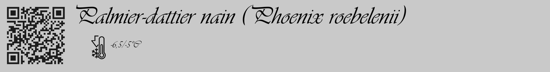 Étiquette de : Phoenix roebelenii - format c - style noire54_basique_basiqueviv avec qrcode et comestibilité
