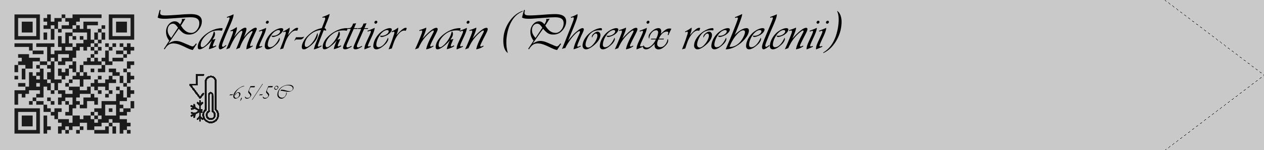 Étiquette de : Phoenix roebelenii - format c - style noire54_simple_simpleviv avec qrcode et comestibilité