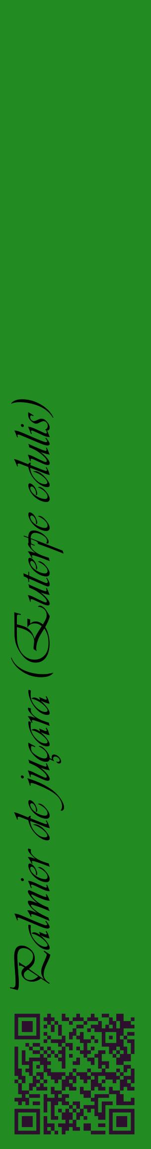 Étiquette de : Euterpe edulis - format c - style noire10_basiqueviv avec qrcode et comestibilité