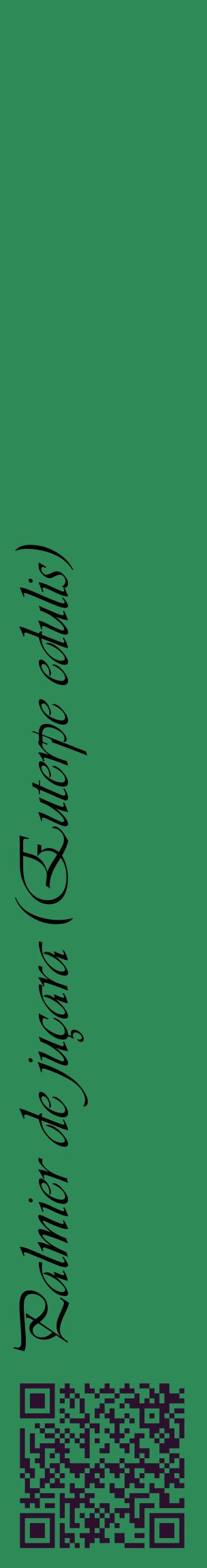 Étiquette de : Euterpe edulis - format c - style noire11_basiqueviv avec qrcode et comestibilité